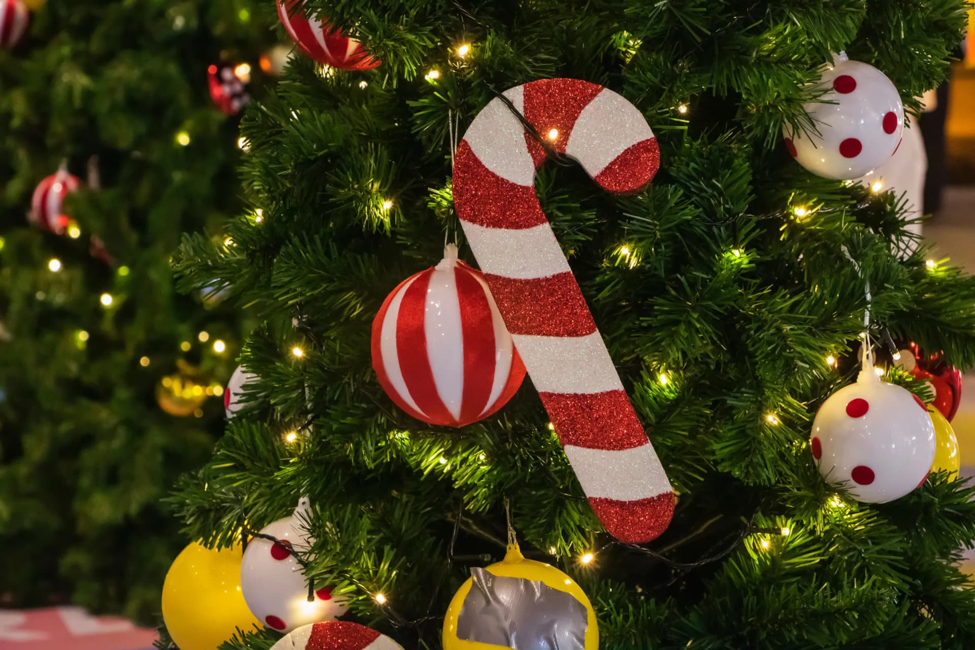 Goan Christmas: Kuswar, Bebinca and How Goa Celebrates